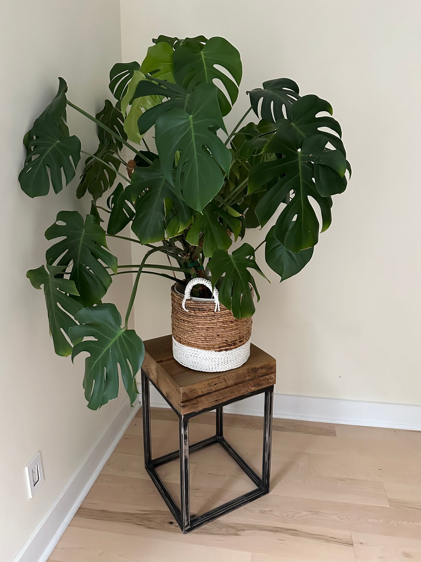 Rustic Maple Wood + Steel Side Table / Plant Stand
