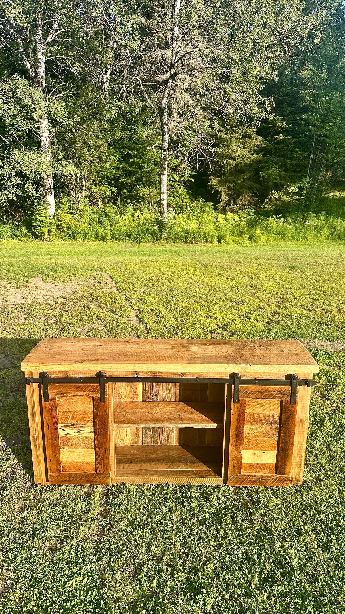 5' L Rustic Dual Barn Door Cabinet