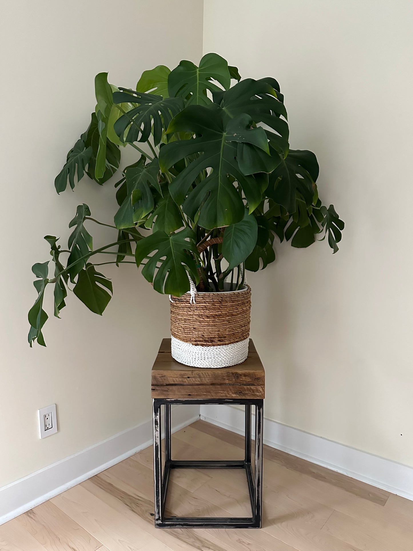 Rustic Maple Wood + Steel Side Table / Plant Stand