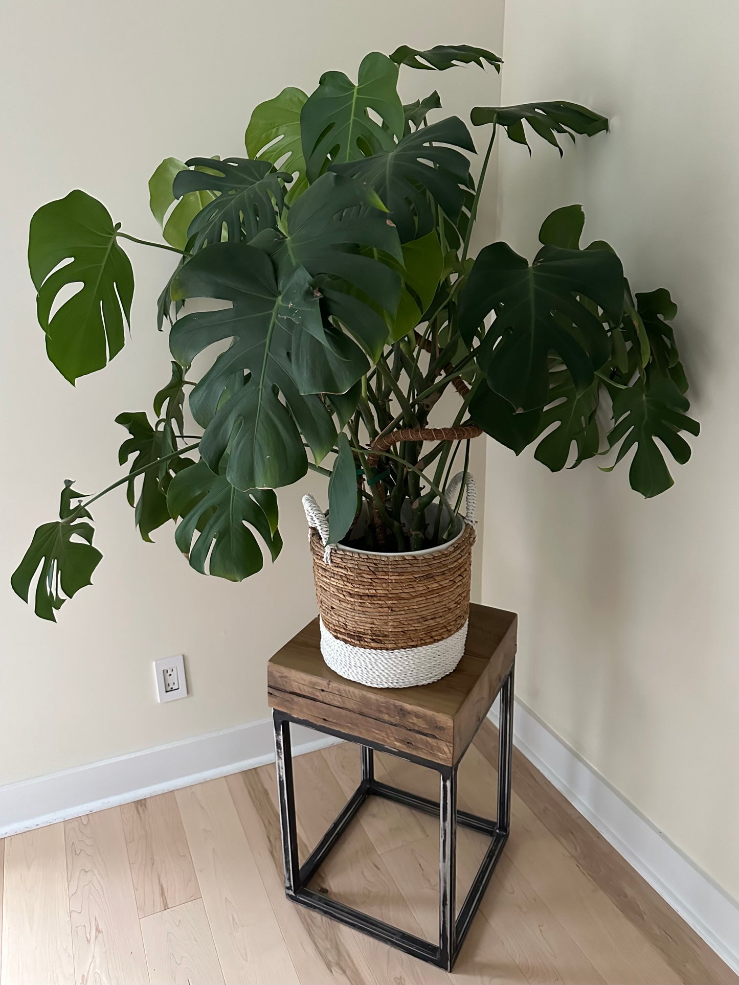 Rustic Maple Wood + Steel Side Table / Plant Stand
