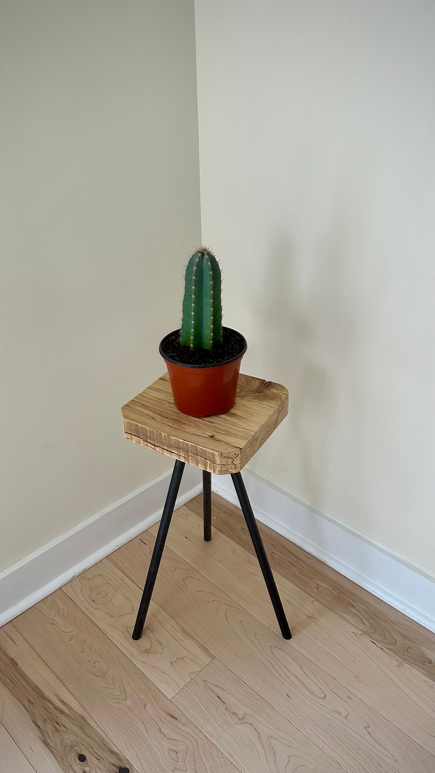 Wood side table / plant stand on steel tripod base