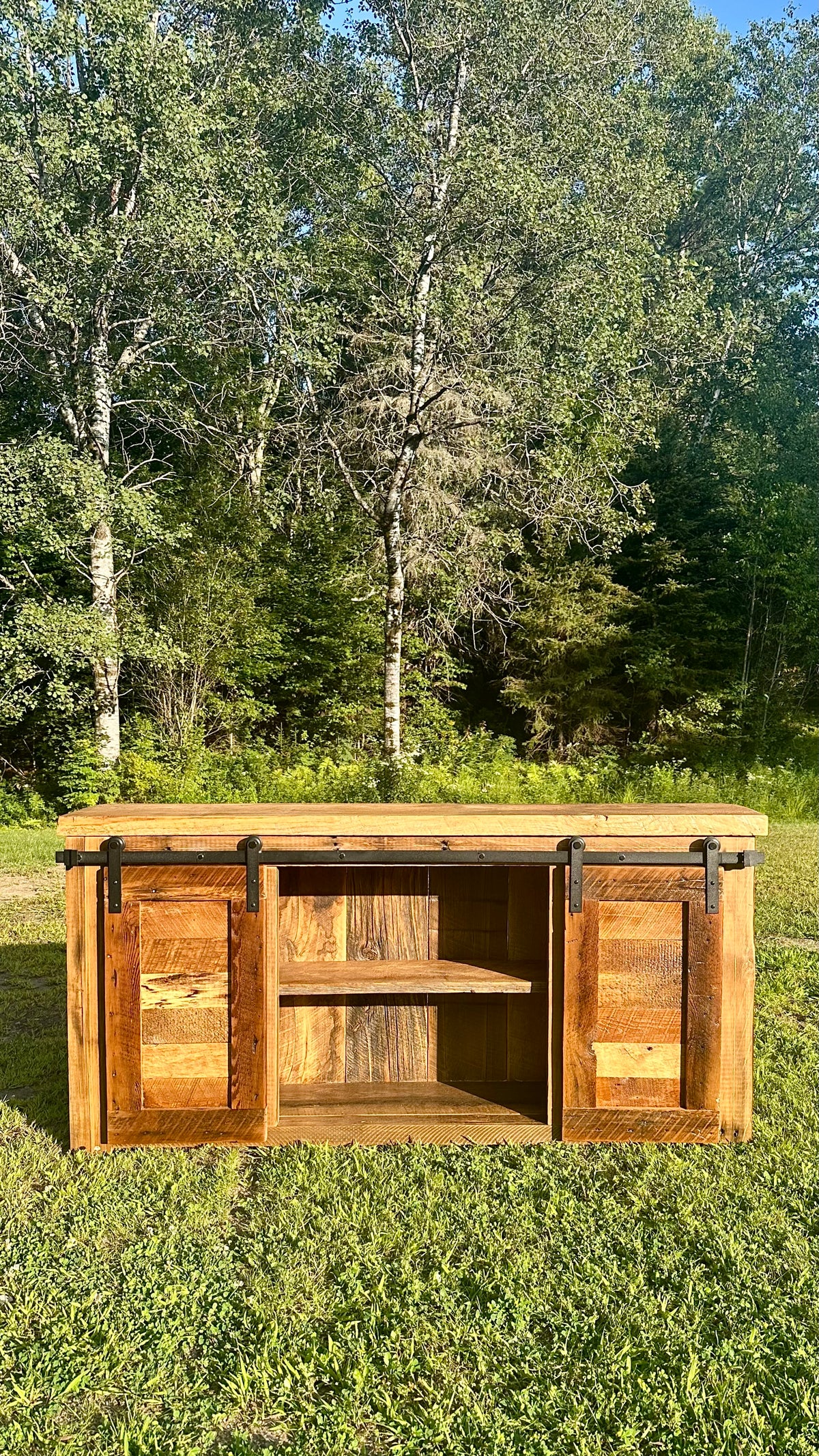 5' L Rustic Dual Barn Door Cabinet