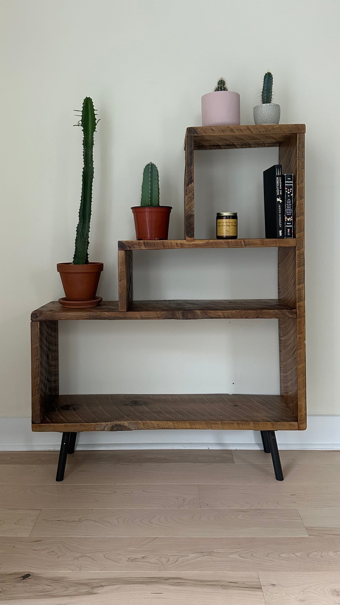 Rustic Reclaimed Wood Bookcase / Plant Stand