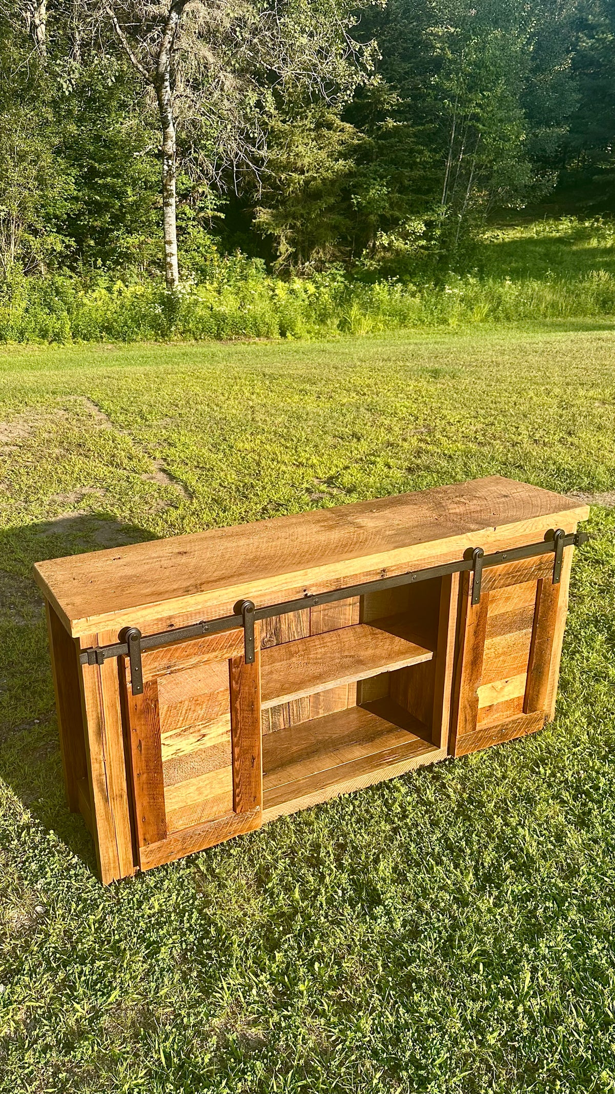 5' L Rustic Dual Barn Door Cabinet