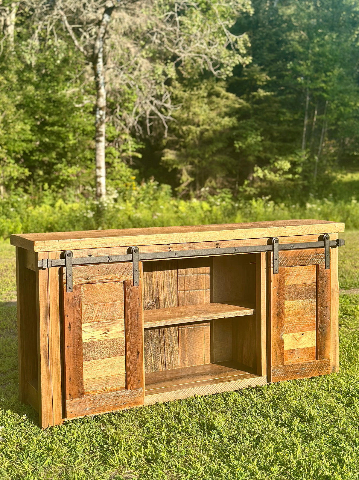 5' L Rustic Dual Barn Door Cabinet