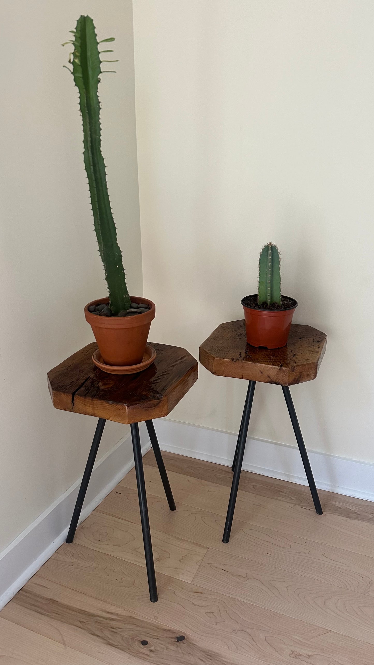 Rustic Wood and Steel Tripod Side Table / Plant Stand