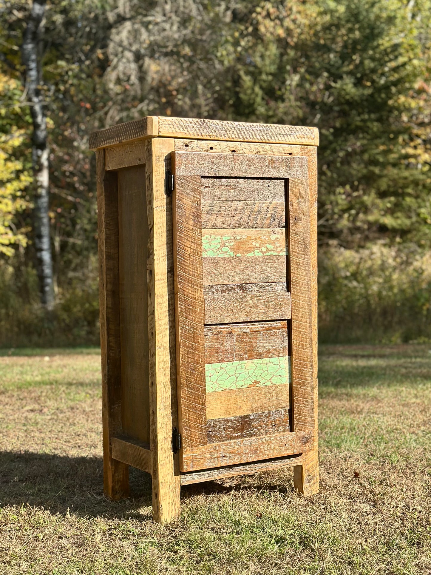 Rustic Reclaimed Wood Compact Cabinet