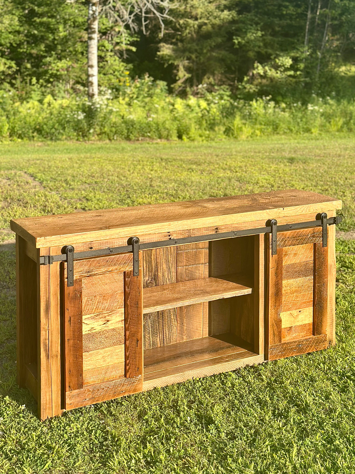 5' L Rustic Dual Barn Door Cabinet