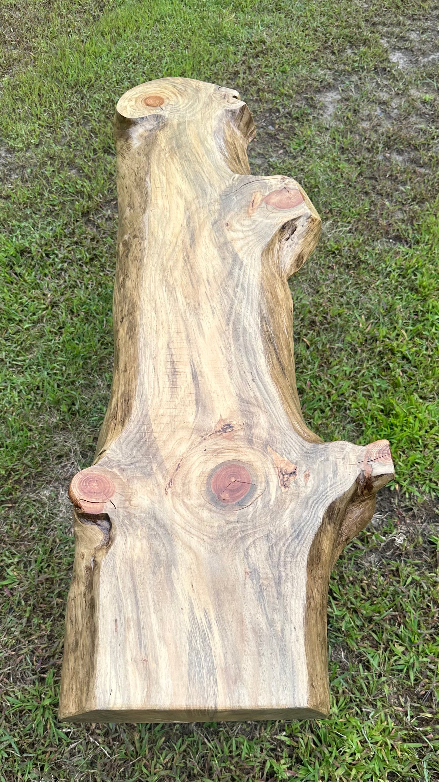 4’ Rustic Live Edge Wood Bench / Table