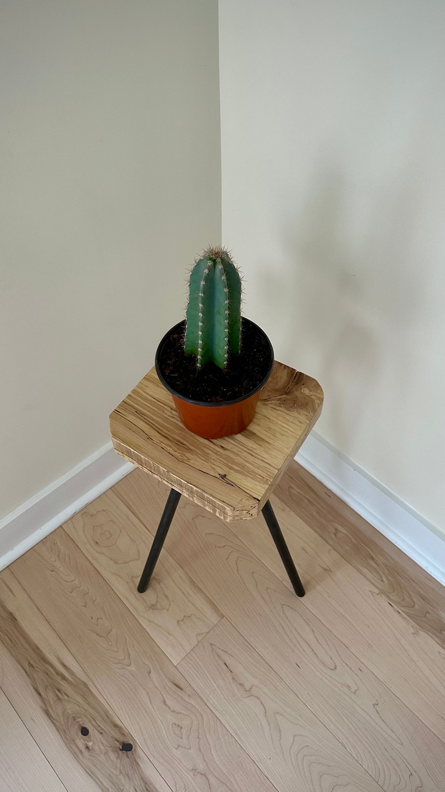 Wood side table / plant stand on steel tripod base